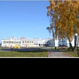 Как идет дистанционное обучение в школах Томской области?