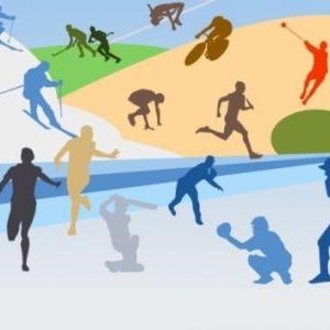 Итоги аттестации педагогических работников организаций, осуществляющих образовательную деятельность в области физической культуры и спорта