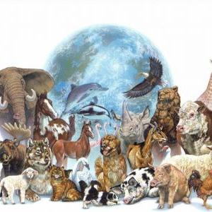 Межрегиональный конкурс «В мире животных»