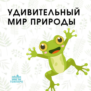 Удивительный мир природы