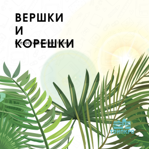 Вершки и корешки - 2025